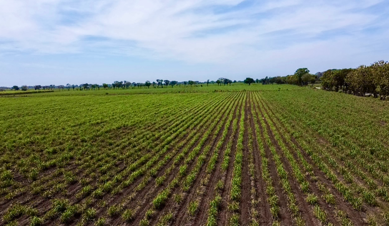 2025-03-27-10-50-46-953