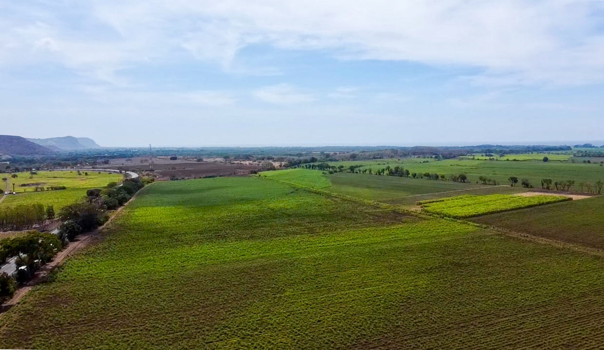 2025-03-27-10-51-22-019