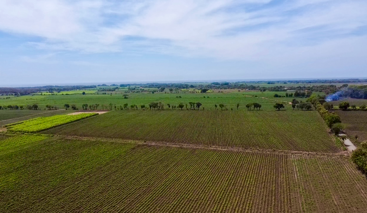 2025-03-27-10-51-24-792