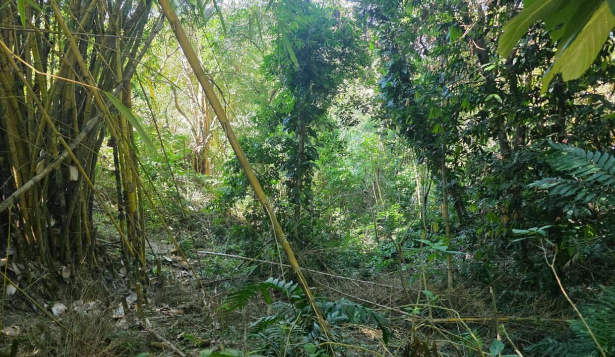 611661290_1614928129934656_7469954353985370890_n