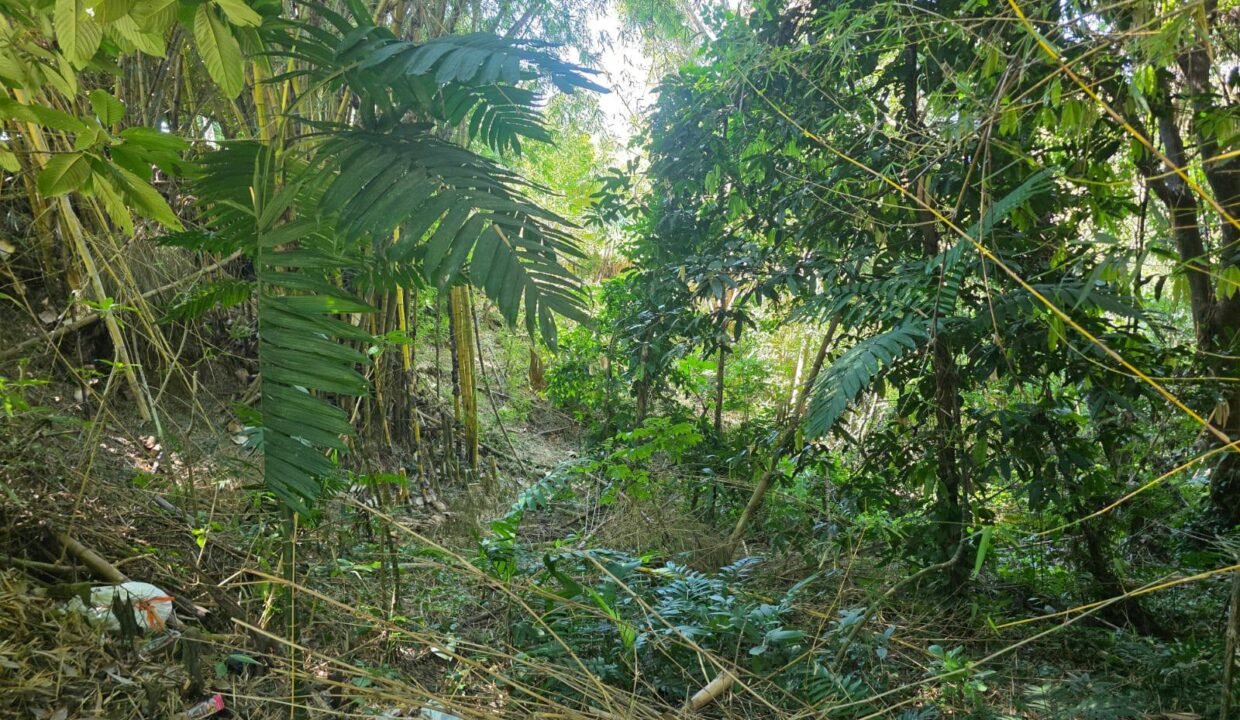 612251635_1614927953268007_5590872479913346525_n