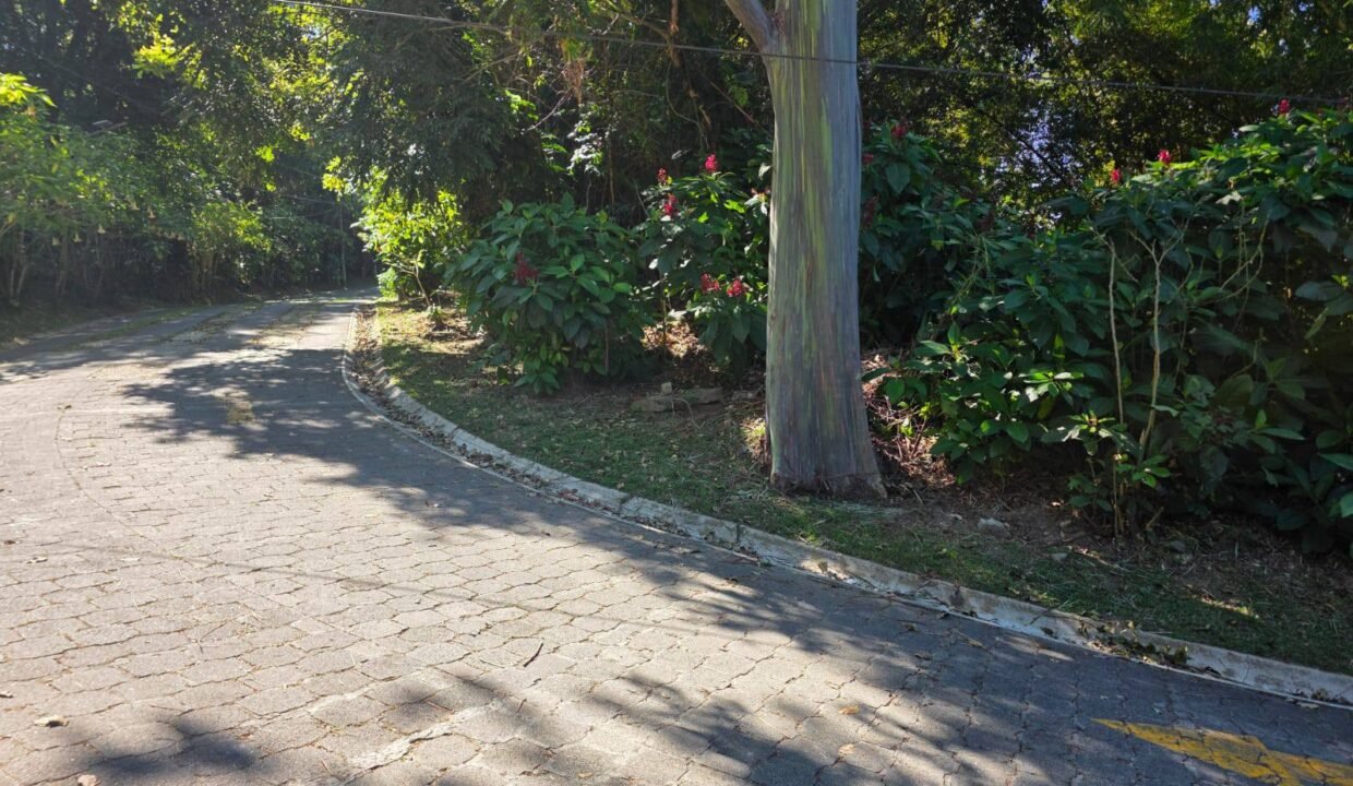 612570138_1614928059934663_7574189321179394002_n