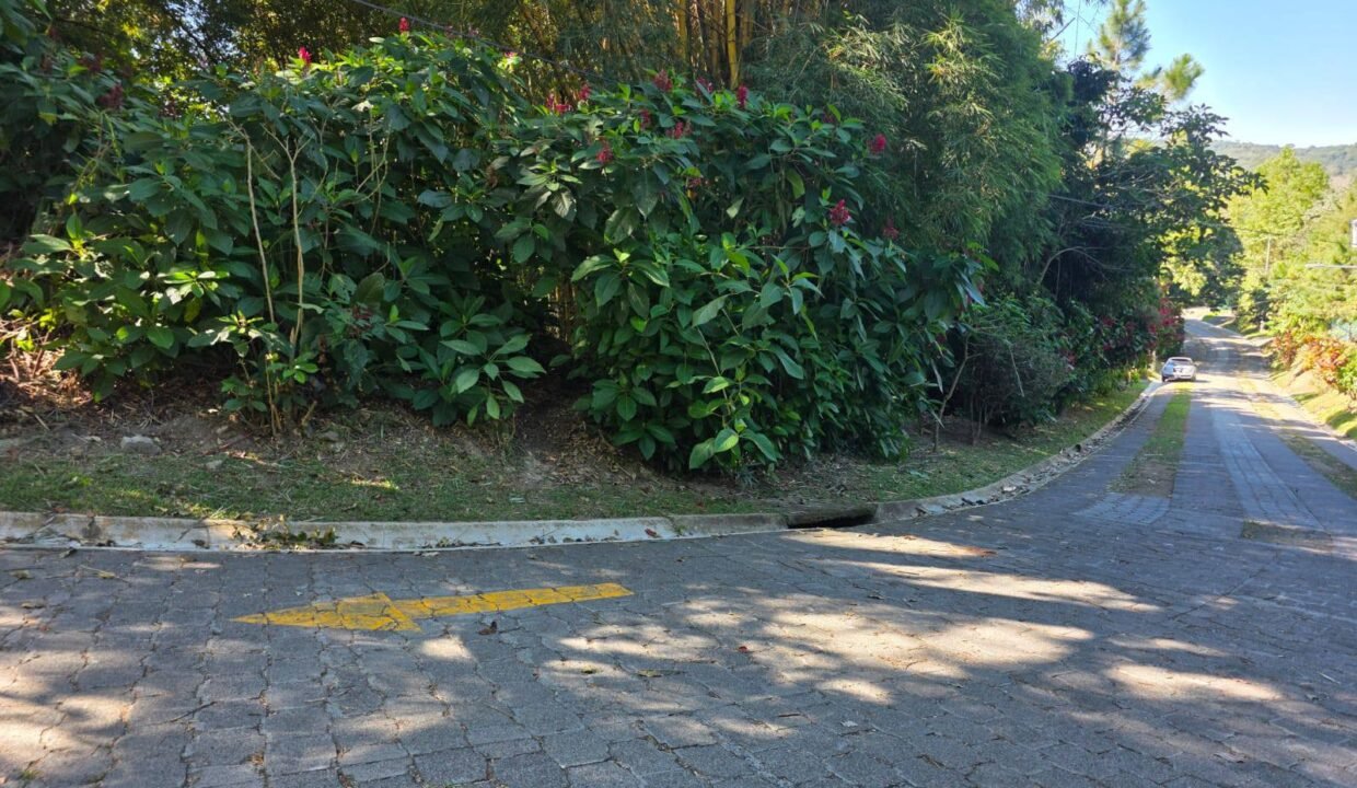 612726656_1614928216601314_4708590416720102008_n