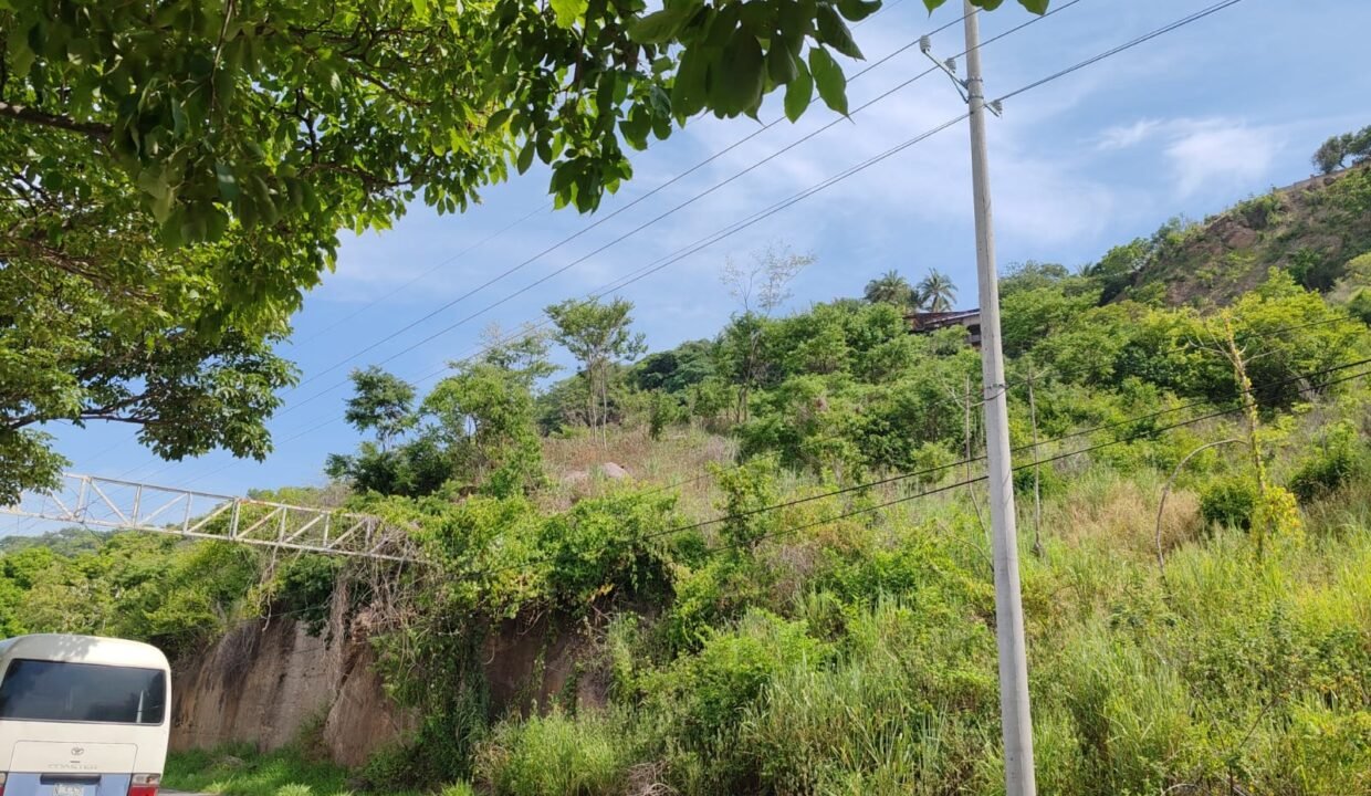 1d4c9530-d292-41c7-b439-8c1f3336b9ee